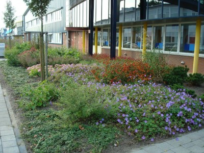 Philips, Drachten - Besdragers, nectarplanten en waardplanten ter bevordering van de biodiversiteit